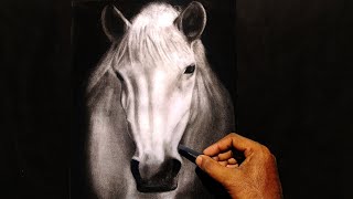 Charcoal Drawing of Horse | Demo | Relaxing | Art