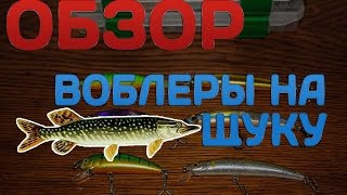 Воблеры на щуку 2016 #5(Обзор на убойные воблеры для ловли щуки) + испытания в воде