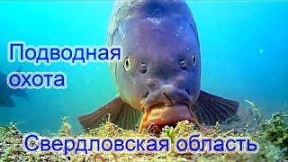Подводная охота 2016.приколы на берегу 18+