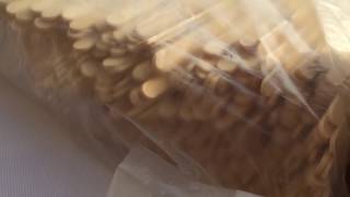 Одноразовый размешиватель деревянный - палочка для кофе и напитков 180 мм