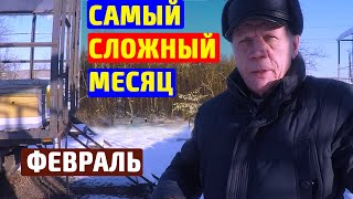 Пчелы в морозы  Спасаем пчел весной  Когда утеплять