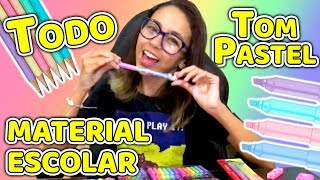 TUDO QUE EU TENHO DE MATERIAL ESCOLAR EM TOM PASTEL | COISAS DA LUNA