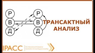 Инструменты коуча. Трансактный анализ