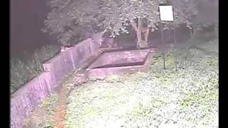 Sgnp leopard caught in cctv camera