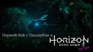 Первый бой с Пилозубым в Horizon Zero Dawn™ | PS4