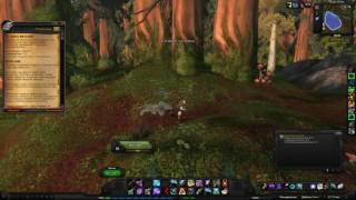 World of Warcraft Quest: Пузырек видений (id=11990)