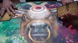 TAURUS WEEK OF JAN 20TH. THIS IS GOING TO SHOCK YOUR SOUL. YOU ARE DESTINED FOR GREATNESS BELIEVE IT