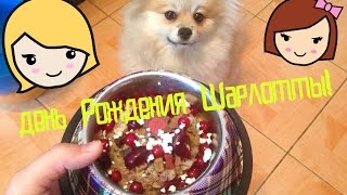День Рождения Шарлотты(Торт,игры с собаками)