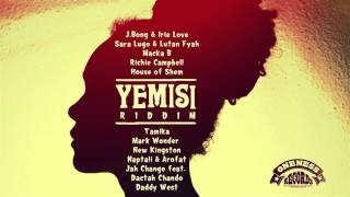 Tamika | Needed You So Much | Yemisi Riddim