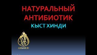 Мощный натуральный антибиотик Кыст Хинди