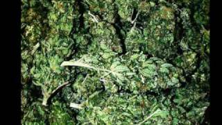 Sizzla - Smoking Marihuana