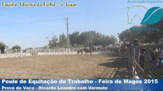 Prova da Vaca - Poule de Equitação de Trabalho - Feira de Magos 2015 - Equipa Quinta da Folha