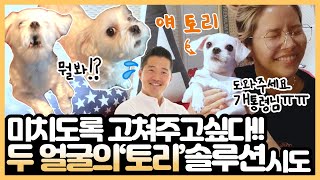 토리야 너 인성 문제있어?