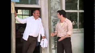 რა შენი დიპლიპიტო თავის საქმეა