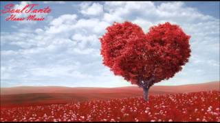 Soulful mix 2014 / SoulTanto House Music /Mastermix 23