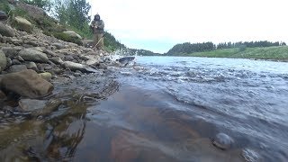 Ловля Горбуши, Семги, Хариуса, Форели, Трески на Кольском полуострове/Salmon Fishing