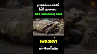 เพลงเต่า เต่า4ขาดั้งเดิม #เพลงเต่า #shorts