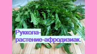 Руккола-растение-афродизиак. Состав, польза, вред.