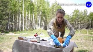 Лечебное Мыло Из Вулканического Пепла