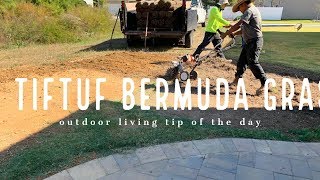 TifTuf Bermuda Grass - Outdoor Living Tip of the Day - Part II