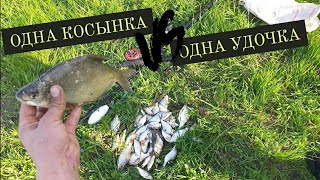Рыбалка на косынки весною. Ловлю подлещеков на поплавок и косынки. Косынки выручают