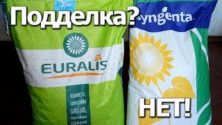 Как не купить подделку? Сертифицированные семена подсолнуха Сингента, Евралис.