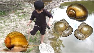 MINMIN TV - Bé Minh mò CUA bắt ỐC trên đồng Ruộng vui nhộn