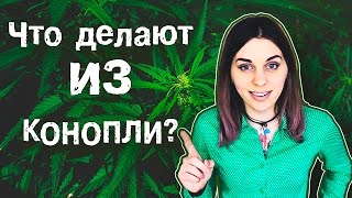 КОНОПЛЯ. МАРИХУАНА. Вы не знали?