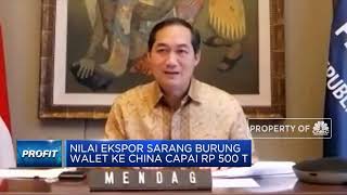 RI Punya 'Harta Karun' Sarang Burung Walet