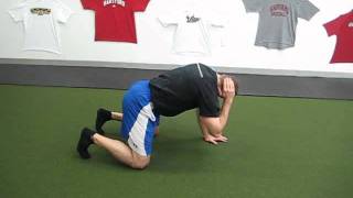 ShowandGoTraining.com: Quadruped Extension-Rotation