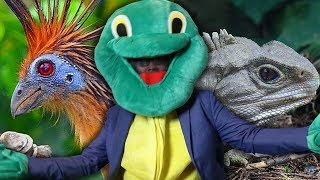 The Weirdest Living Animals - (With Dr. Lawrence Turtleman)