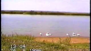 Фильм о нашем селе