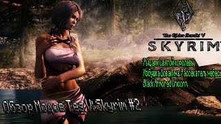 Skyrim: Обзор модов #2 - B A U, Рассекатель Небес,Избушка Довакина.,Рыцари Святой королевы.