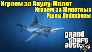 GTA 5 - Играем за АКУЛУ-МОЛОТ [Играем за Животных и Ищем Лофофоры]