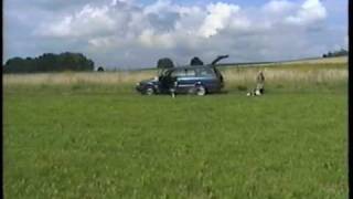 Beizjagd - Ausbildung Habicht - hunting with Hawk - www. beizvogelschule.de