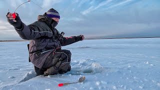 ПЕРВЫЙ ЛЕД 2019-2020! ЗИМНЯЯ РЫБАЛКА ОТКРЫТА!