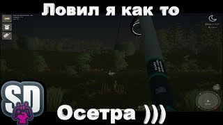 Русская Рыбалка 4  Ловил я как то Осетра.