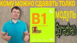 ПМЖ в ФРГ: Кому можно сдавать только модуль "Sprechen" сертификата В1 Гёте-Института