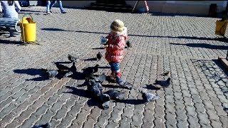 Улан Удэ  Кормим голубей  Прогулка по Арбату