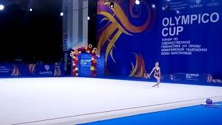 Турнир по художественной гимнастике на призы олимпийской чемпионки Юлии Барсуковой