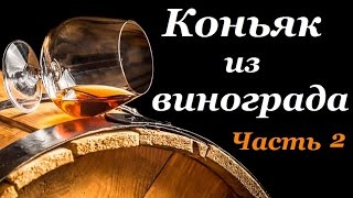 Вкусный домашний коньяк из винограда. Рецепт коньяка часть 2