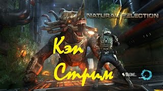 Стрим прямой эфир 25.01.2017. WarFace