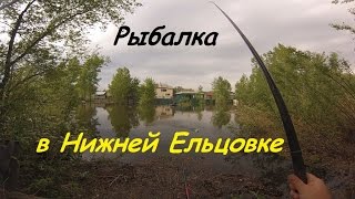 Рыбалка на удочку на протоке Оби в Нижней Ельцовке.