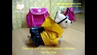 Одежда для интерактивной собачки чихуахуа Чи Чи Лав