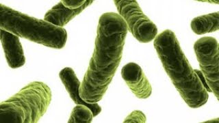 Difteria: Clínica, diagnóstico y tratamiento. Ponencia del Dr. Juan Félix García
