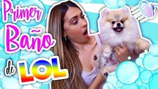 El Primer Baño de Mr LOL ? | CÓMO BAÑAR A TU CACHORRO | Lizy P