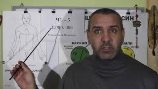 Активизируем Большеберцовую кость точками акупунктуры.