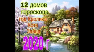2020 год ГОД КРОЛИКА/КОТА/ЗАЙЦА 12 ДОМОВ ГОРОСКОПА