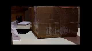 My First BJD- Box Opening