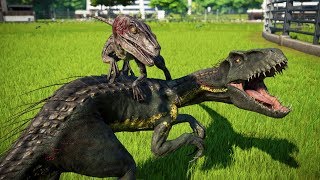 Jurassic World Evolution Dinosaurs Fighting Indoraptor vs Blue Breakout and Fight